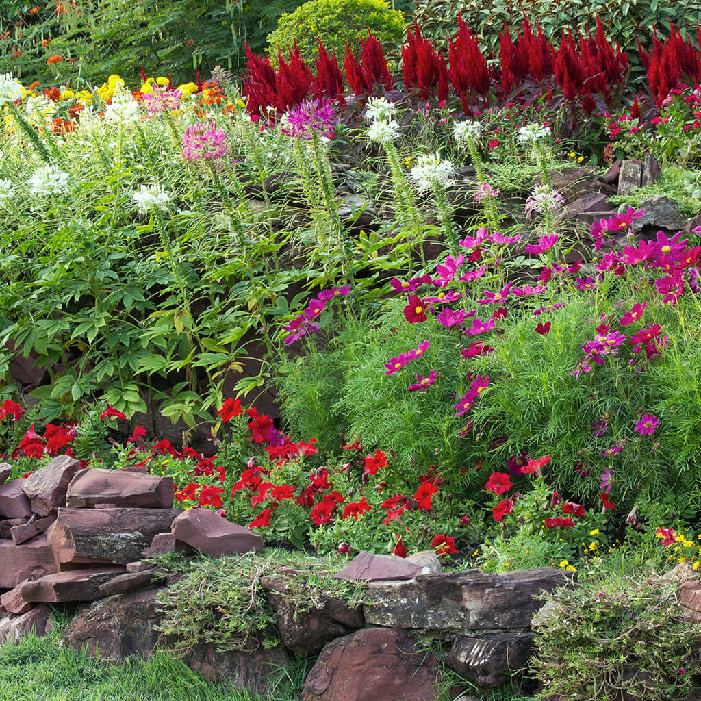 Garden care
