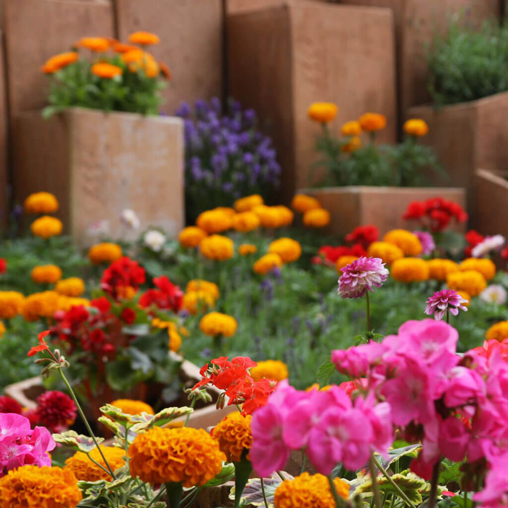 Garden care